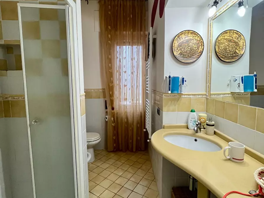 Immagine 18 di Appartamento in vendita  a Lajatico