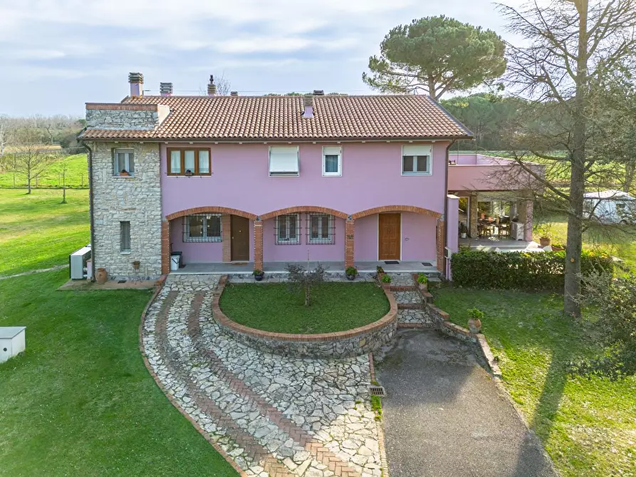 Immagine 2 di Casa indipendente in vendita  a Pontedera