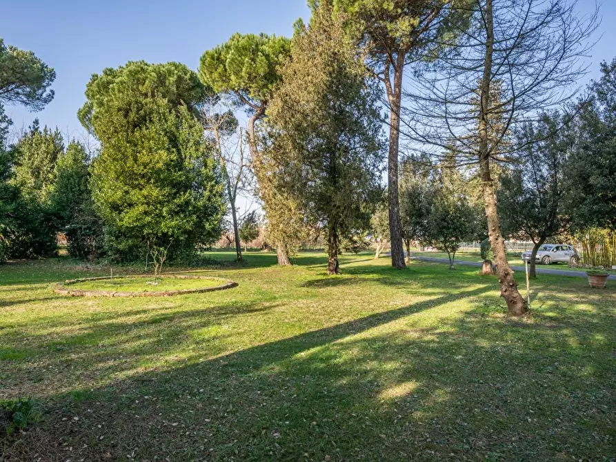 Immagine 66 di Casa indipendente in vendita  a Pontedera