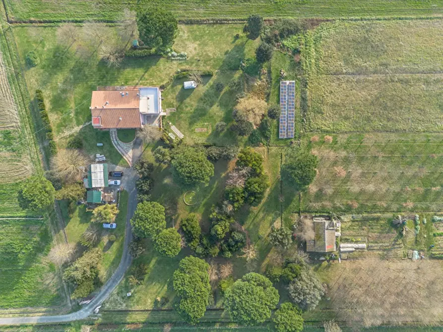 Immagine 7 di Casa indipendente in vendita  a Pontedera