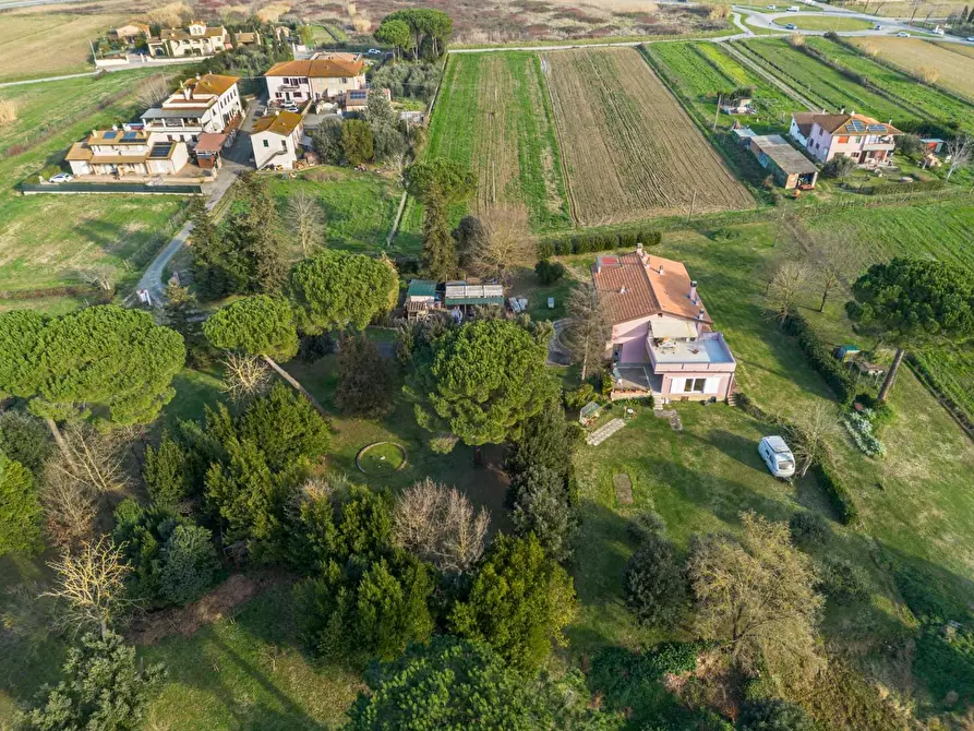 Immagine 13 di Casa indipendente in vendita  a Pontedera