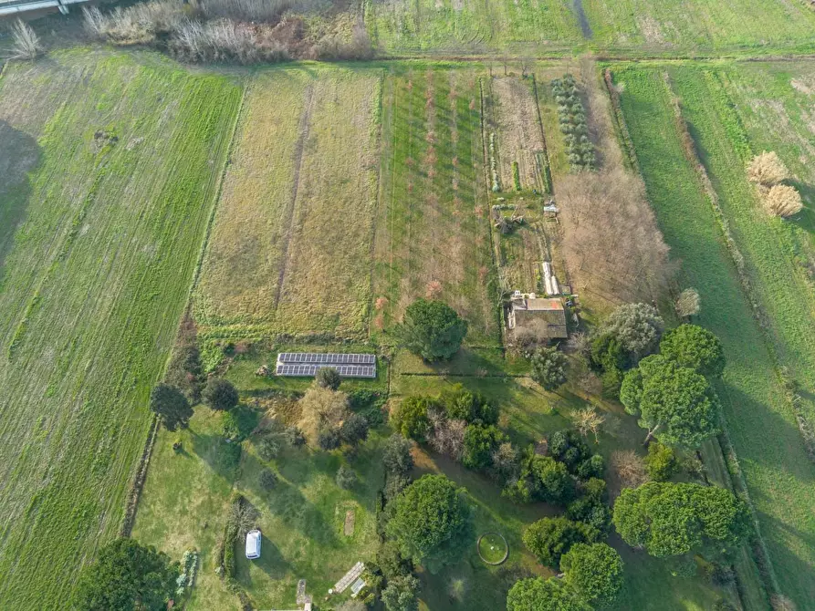 Immagine 5 di Casa indipendente in vendita  a Pontedera