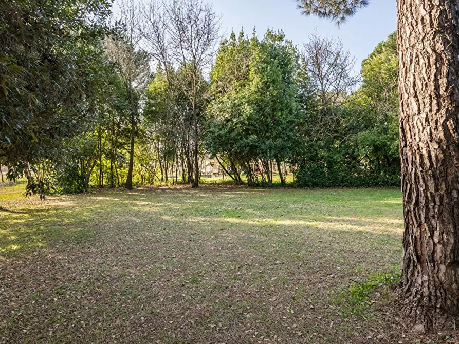 Immagine 3 di Casa indipendente in vendita  a Pontedera