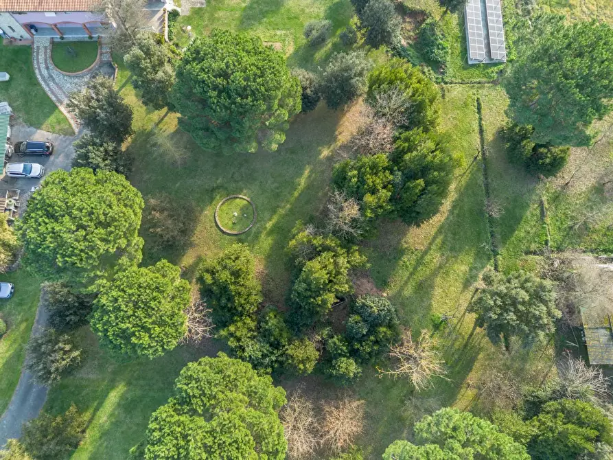 Immagine 14 di Casa indipendente in vendita  a Pontedera