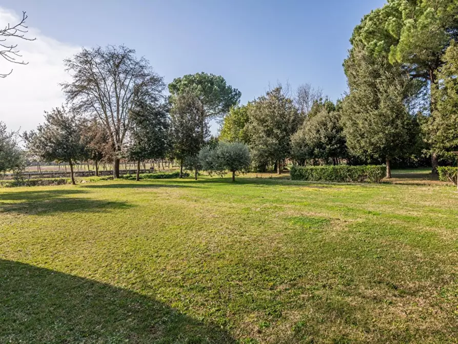 Immagine 64 di Casa indipendente in vendita  a Pontedera
