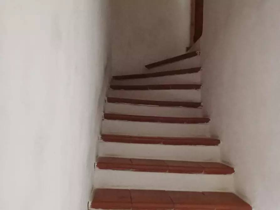Immagine 9 di Casa bifamiliare in vendita  a Buti