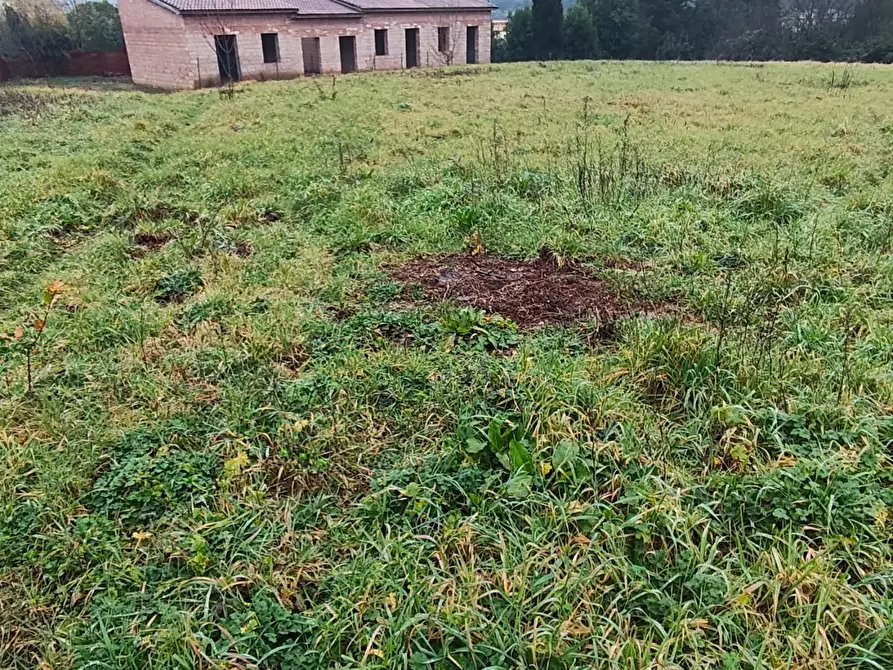 Immagine 3 di Villa in vendita  a Lucca