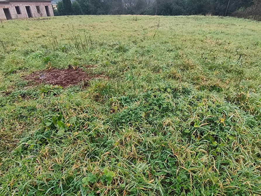 Immagine 5 di Villa in vendita  a Lucca