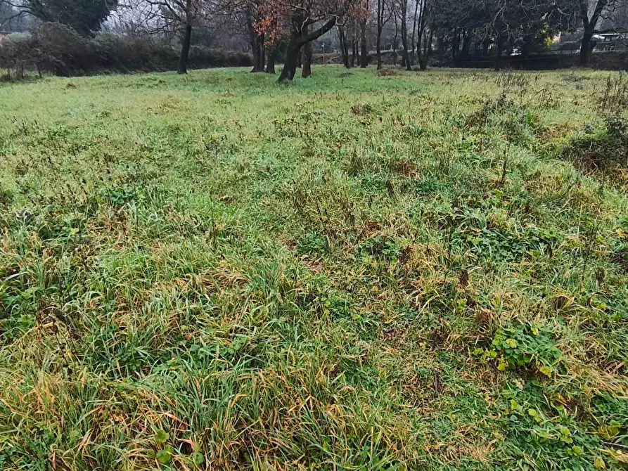 Immagine 4 di Villa in vendita  a Lucca