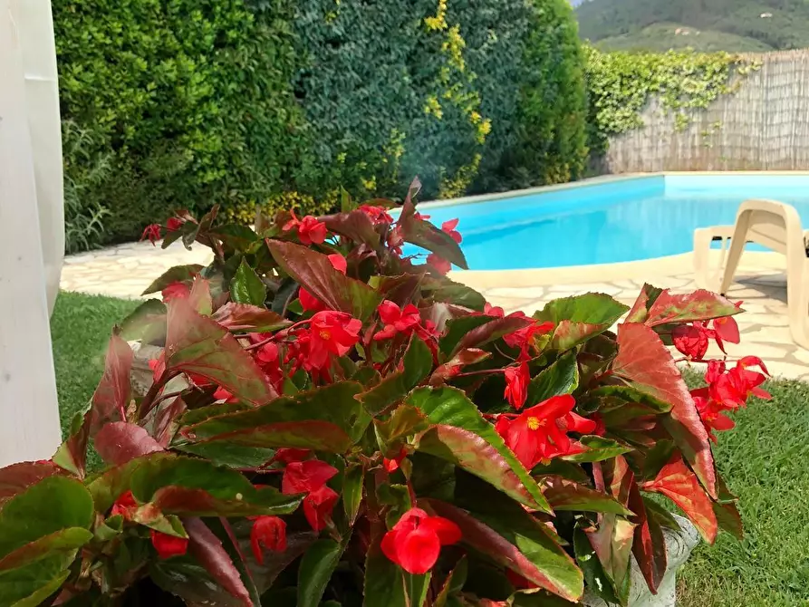 Immagine 32 di Casa bifamiliare in vendita  a Massarosa