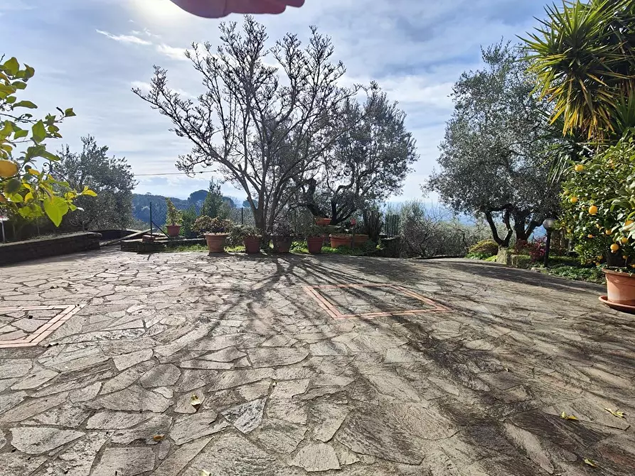 Immagine 30 di Terratetto in vendita  a Lamporecchio