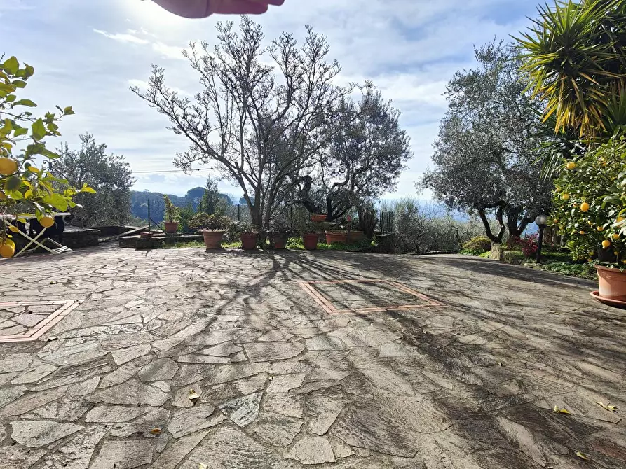 Immagine 27 di Terratetto in vendita  a Lamporecchio