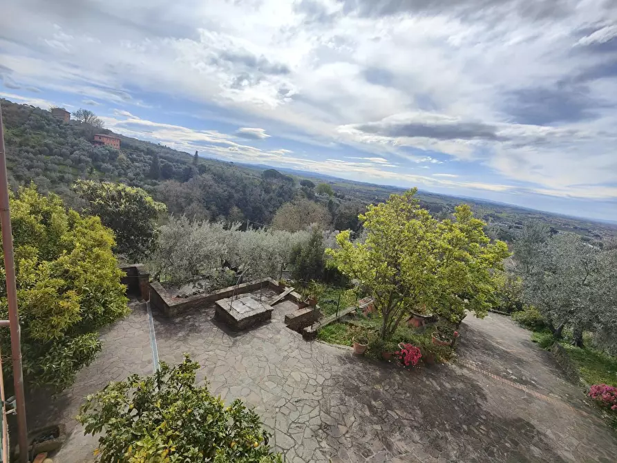 Immagine 36 di Terratetto in vendita  a Lamporecchio