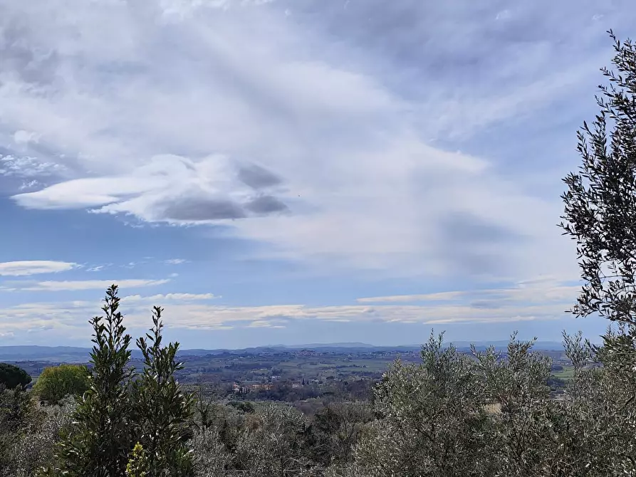 Immagine 37 di Terratetto in vendita  a Lamporecchio