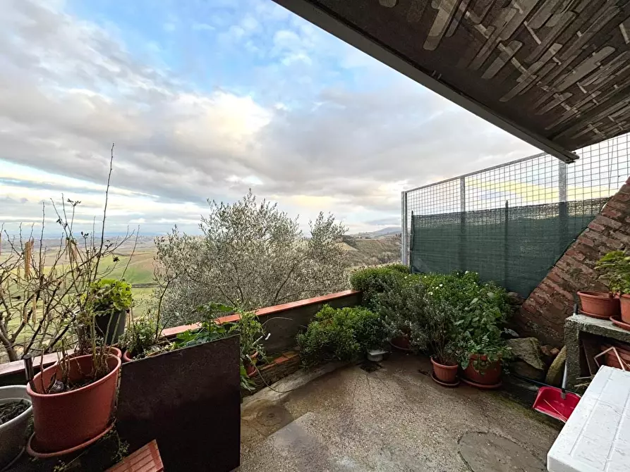 Immagine 17 di Terratetto in vendita  a Casciana Terme Lari