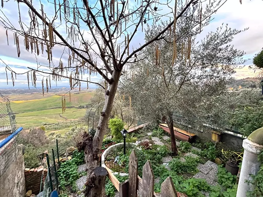 Immagine 19 di Terratetto in vendita  a Casciana Terme Lari