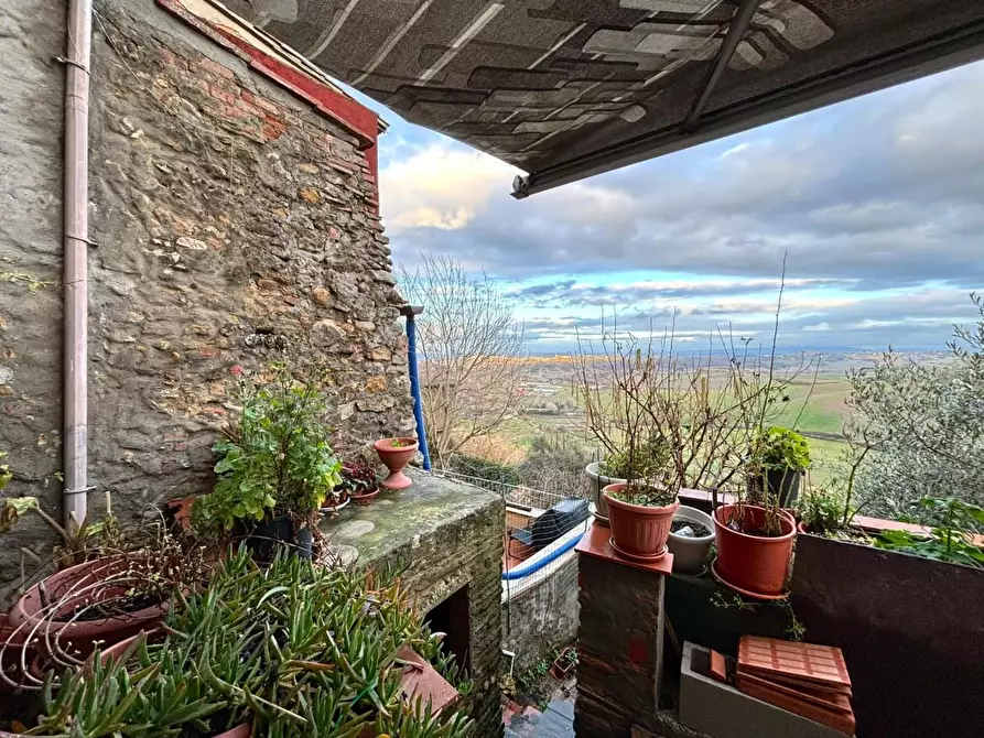 Immagine 18 di Terratetto in vendita  a Casciana Terme Lari