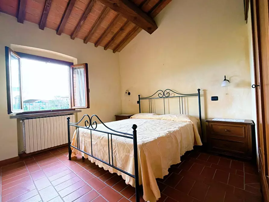 Immagine 14 di Agriturismo in vendita  a Terricciola