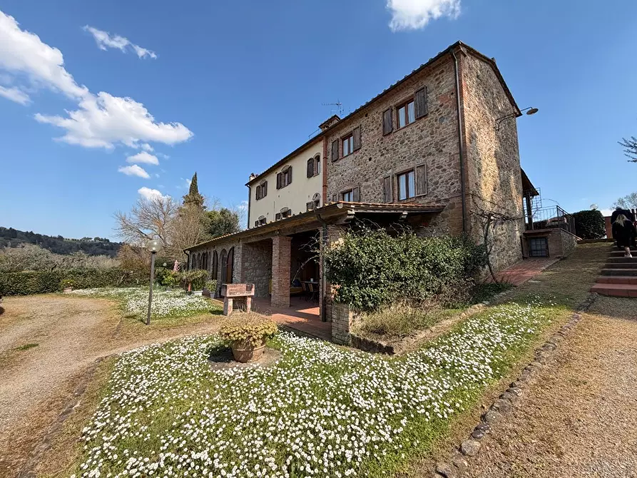 Immagine 40 di Agriturismo in vendita  a Terricciola