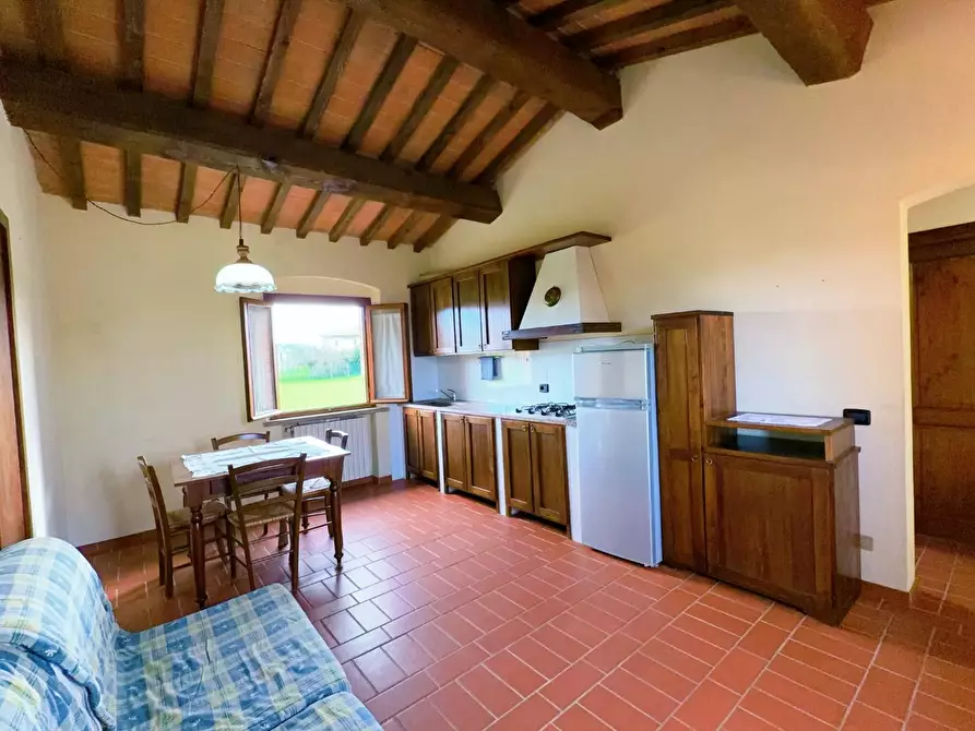 Immagine 13 di Agriturismo in vendita  a Terricciola