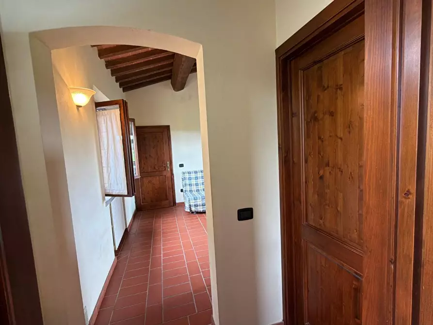Immagine 11 di Agriturismo in vendita  a Terricciola