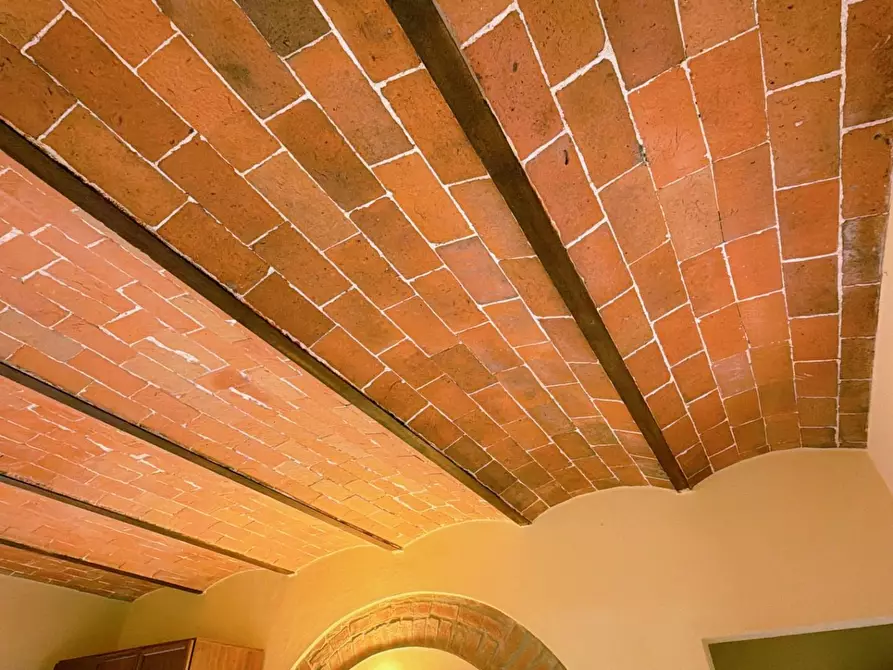 Immagine 22 di Agriturismo in vendita  a Terricciola