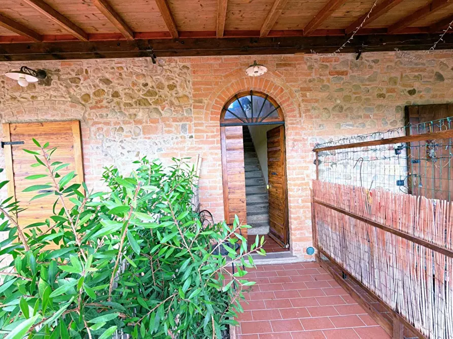 Immagine 19 di Agriturismo in vendita  a Terricciola