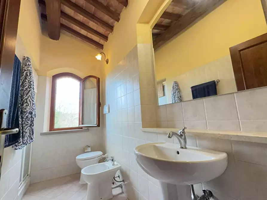 Immagine 9 di Agriturismo in vendita  a Terricciola