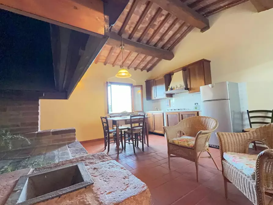 Immagine 3 di Agriturismo in vendita  a Terricciola