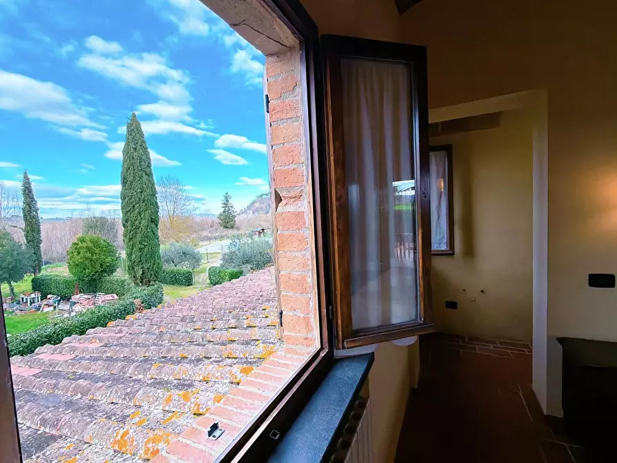 Immagine 24 di Agriturismo in vendita  a Terricciola