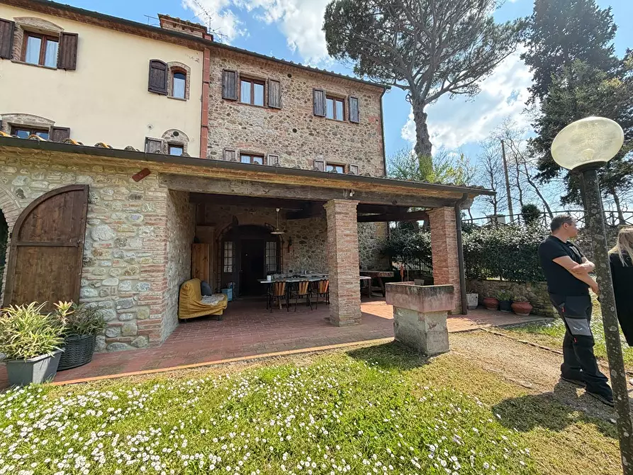 Immagine 3 di Agriturismo in vendita  a Terricciola