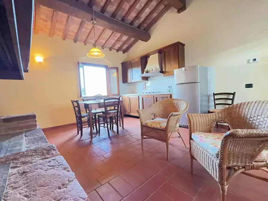 Immagine 5 di Agriturismo in vendita  a Terricciola