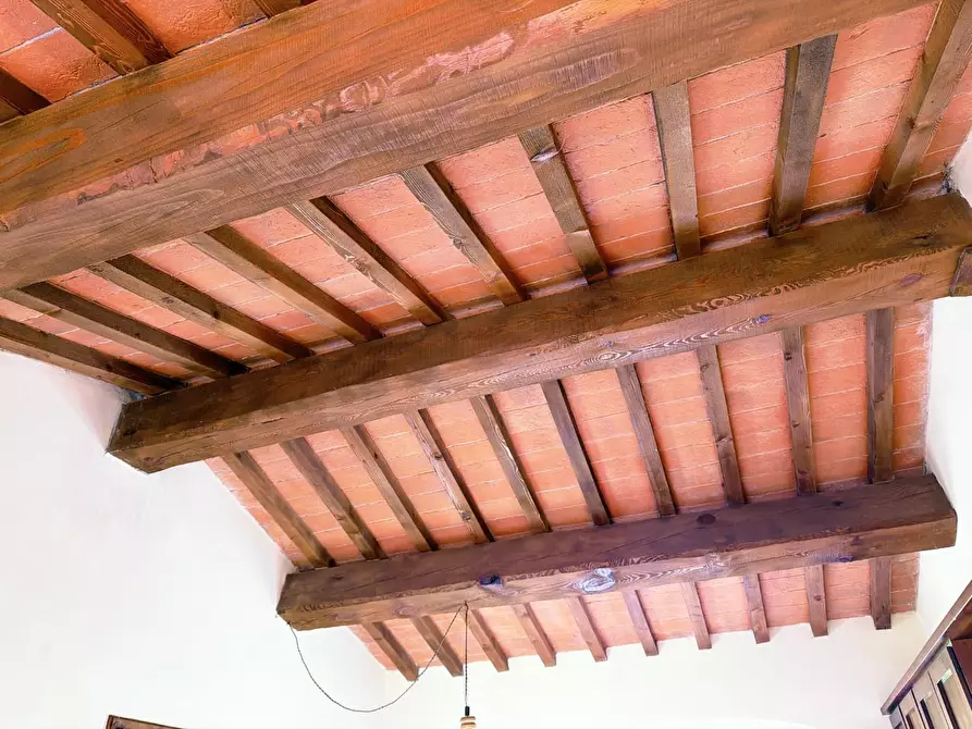 Immagine 15 di Agriturismo in vendita  a Terricciola