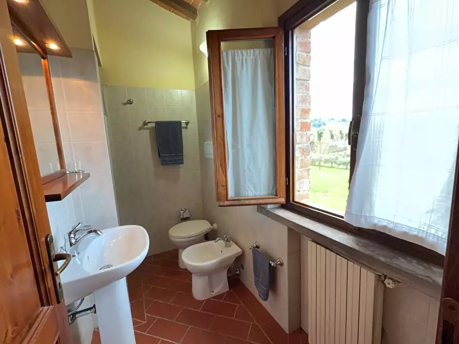 Immagine 12 di Agriturismo in vendita  a Terricciola