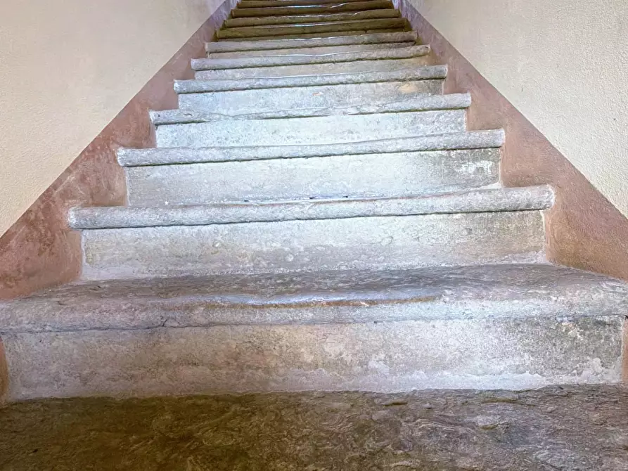 Immagine 20 di Agriturismo in vendita  a Terricciola