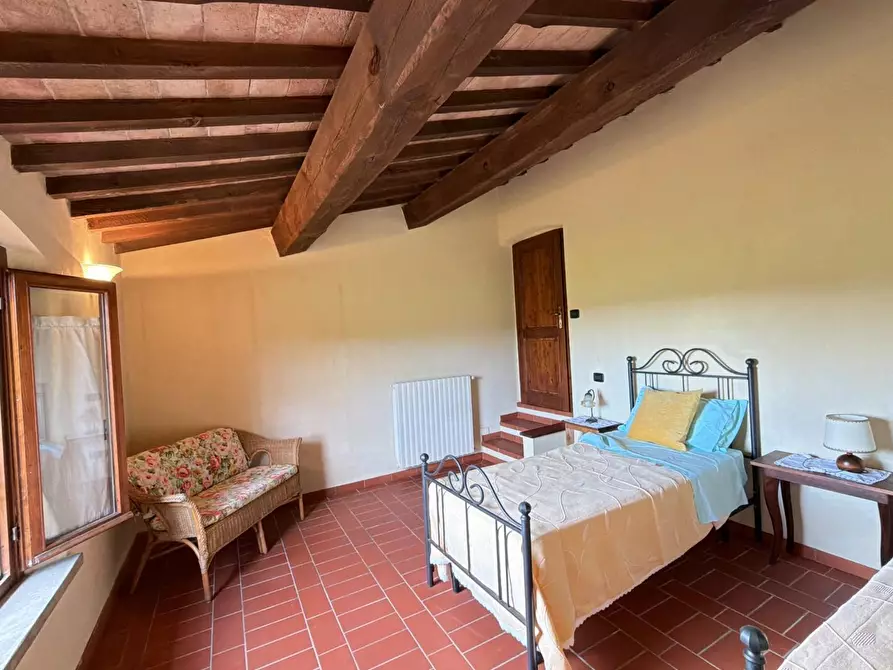 Immagine 8 di Agriturismo in vendita  a Terricciola