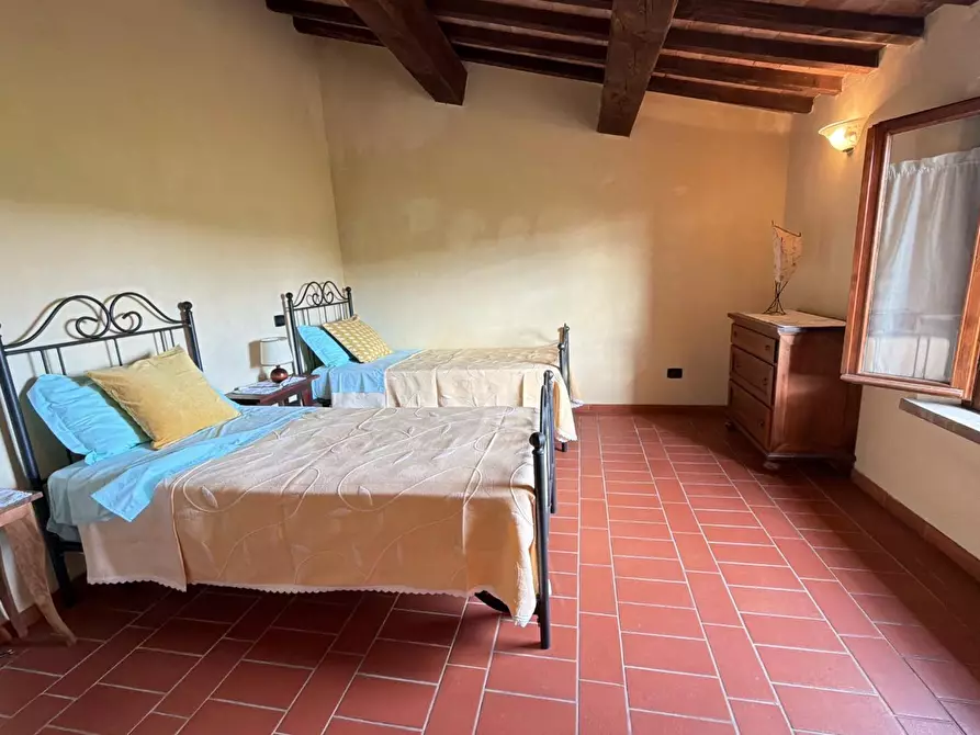 Immagine 7 di Agriturismo in vendita  a Terricciola