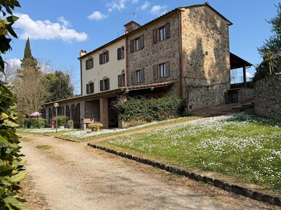 Immagine 38 di Agriturismo in vendita  a Terricciola