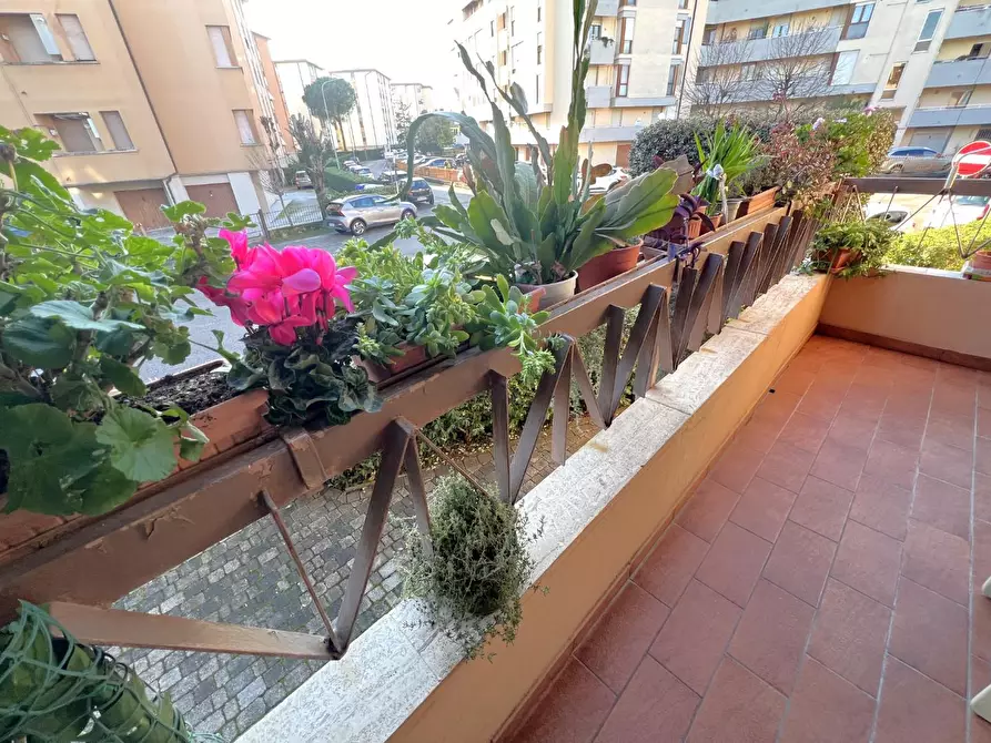 Immagine 27 di Appartamento in vendita  a Pisa