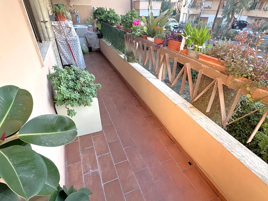 Immagine 20 di Appartamento in vendita  a Pisa