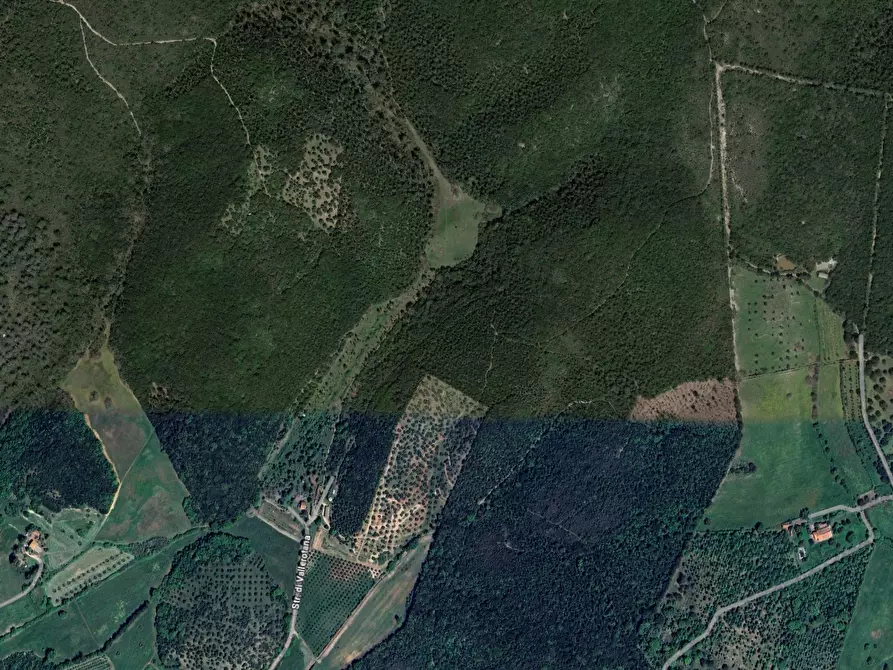 Immagine 1 di Terreno agricolo in vendita  a Grosseto