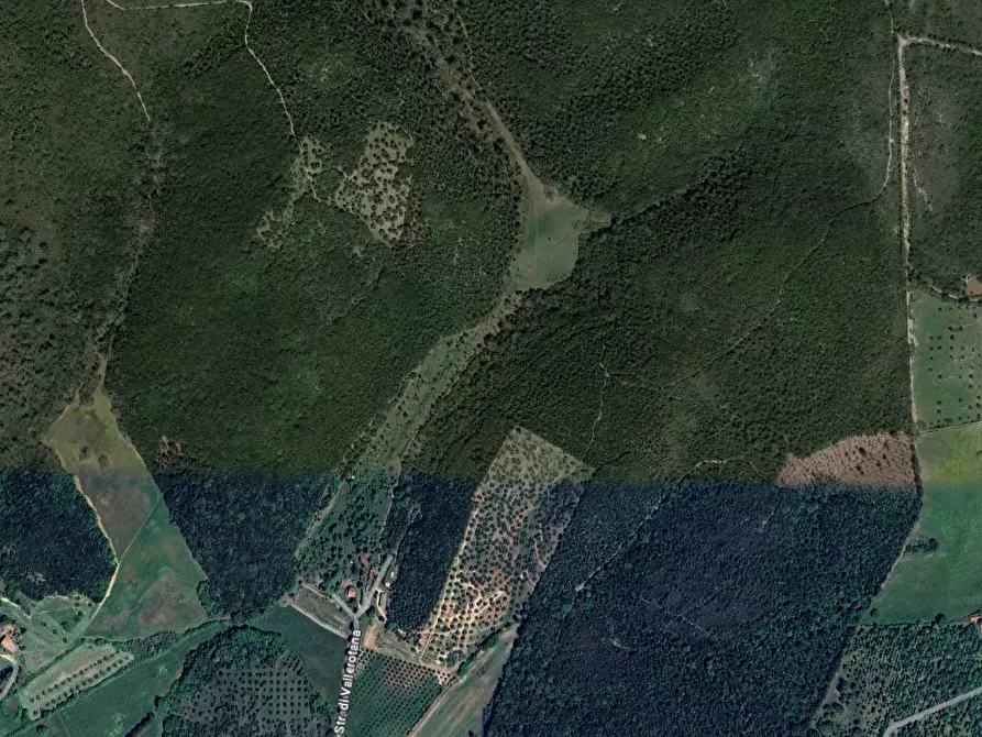 Immagine 2 di Terreno agricolo in vendita  a Grosseto