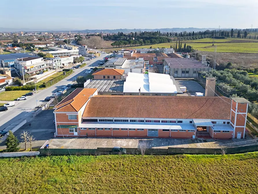 Immagine 6 di Attività artigianale in vendita  a Casciana Terme Lari