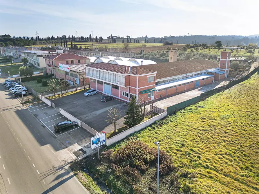 Immagine 5 di Attività artigianale in vendita  a Casciana Terme Lari