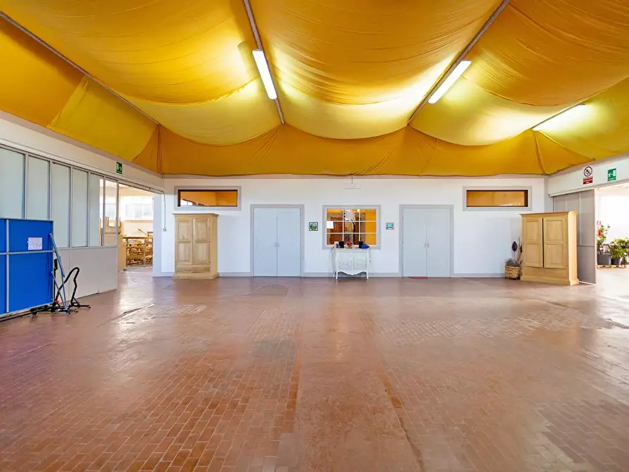 Immagine 13 di Attività artigianale in vendita  a Casciana Terme Lari