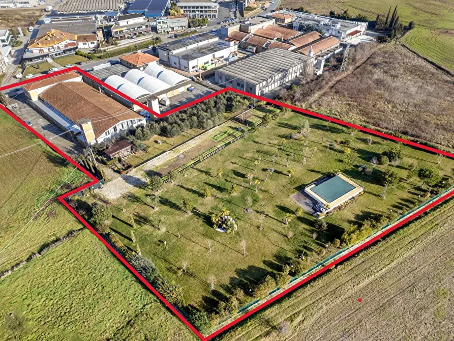 Immagine 7 di Attività artigianale in vendita  a Casciana Terme Lari