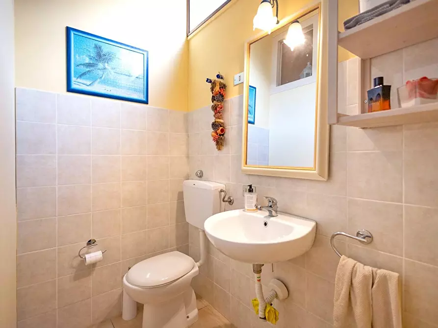 Immagine 15 di Attività artigianale in vendita  a Casciana Terme Lari