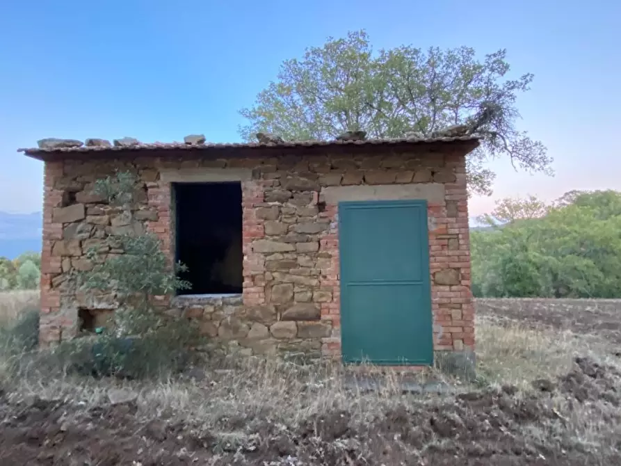Immagine 10 di Terreno agricolo in vendita  a Scansano