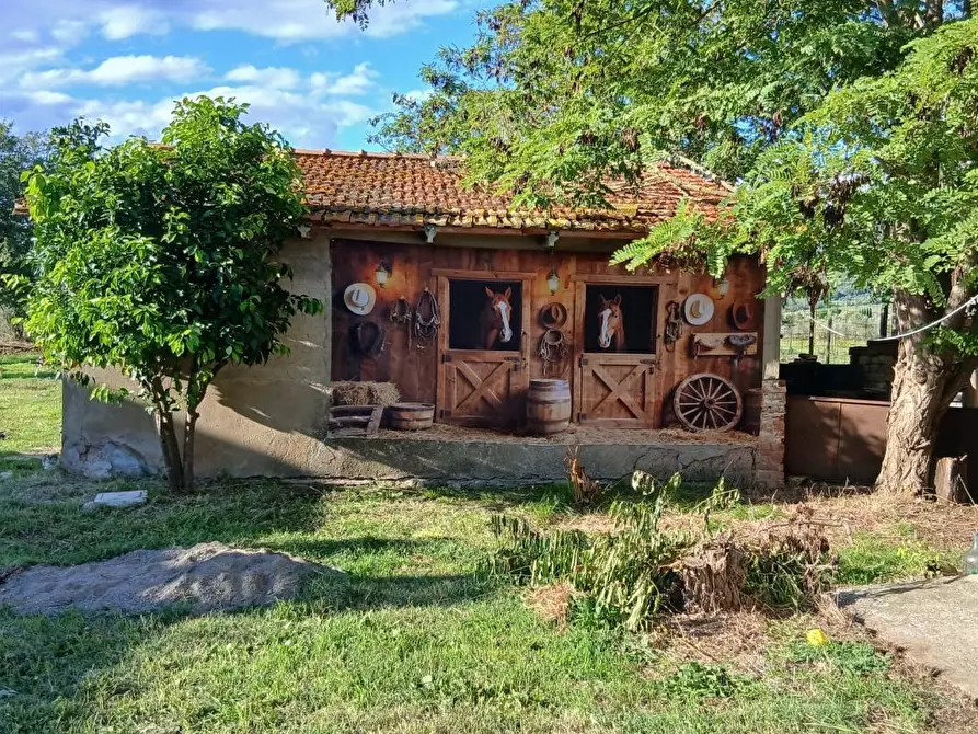 Immagine 20 di Azienda agricola in vendita  a Cinigiano