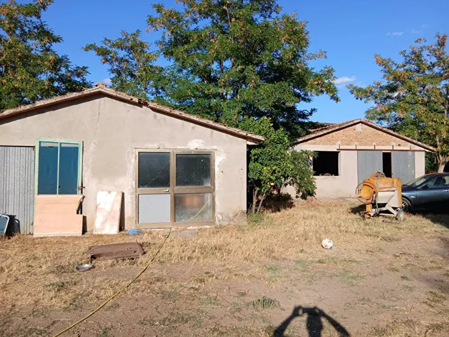 Immagine 4 di Azienda agricola in vendita  a Cinigiano